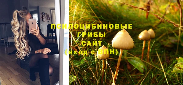 PSILOCYBIN Алексин